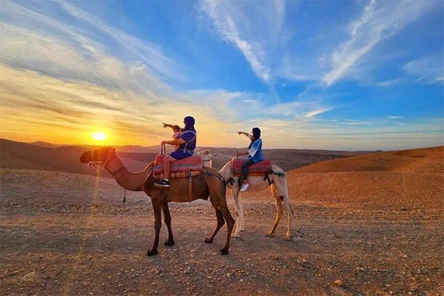 Agafay-desert-camels-ride-by-viva-morocco-tours7