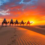 people-riding-camels-desert-sunset